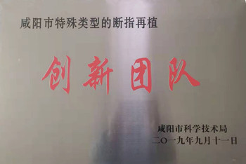 咸陽市特殊類型的斷指再植創新團隊