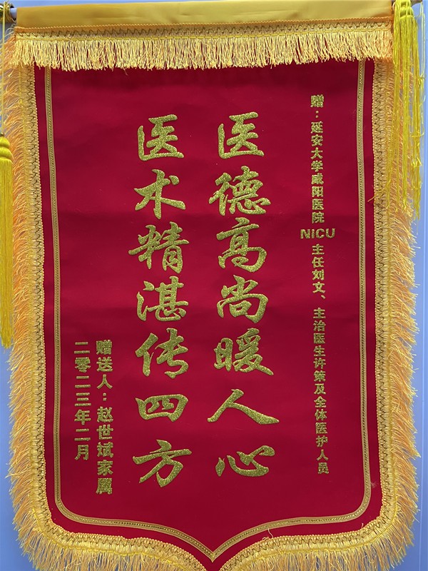 神經重癥監護NICU錦旗